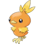 Torchic